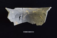 陶罐藏品圖，第2張